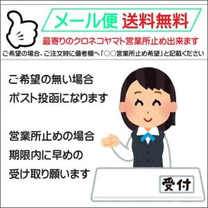 送料無料2〜4日後到着 コスチューム ボンテー...の詳細画像5