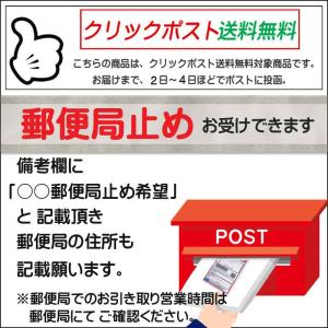 送料無料2〜3日後到着 ボンテージ コスチュー...の詳細画像3