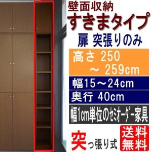 上棚付オフィス隙間収納 壁収納 高さ２５０〜２５９ｃｍ幅１５〜２４ｃｍ奥行４０ｃｍ厚棚板（棚板厚2.5cm）｜wing1