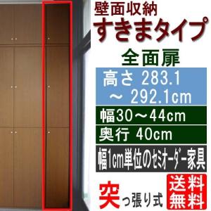 すきま扉付整理棚 コミック棚 高さ２８３．１〜２９２．１ｃｍ幅３０〜４４ｃｍ奥行４０ｃｍ｜wing1