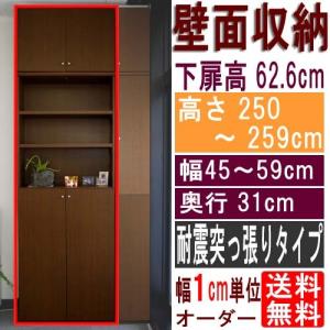 天井つっぱり壁面書庫 突っ張り棚 高さ２５０〜２５９ｃｍ幅４５〜５９ｃｍ奥行３１ｃｍ厚棚板（棚板厚2.5cm） 下扉高さ62.6cm