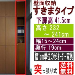 隙間つっぱり壁面収納 突っ張り棚 高さ２３２〜２４１ｃｍ幅１５〜２４ｃｍ奥行１９ｃｍ 下扉高さ41.5cm｜wing1