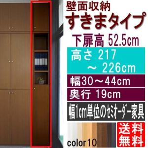 扉付つっぱり収納棚 文庫本棚 高さ２１７〜２２６ｃｍ幅３０〜４４ｃｍ奥行１９ｃｍ 下扉高さ52.5cm｜wing1