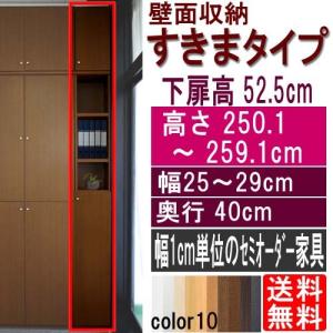 天井つっぱり隙間収納 戸棚 高さ２５０．１〜２５９．１ｃｍ幅２５〜２９ｃｍ奥行４０ｃｍ厚棚板(棚板厚2.5cm) 下扉高さ52.5cm｜wing1