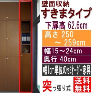 扉付壁面すきま収納 隙間収納 高さ２５０〜２５９ｃｍ幅１５〜２４ｃｍ奥行４０ｃｍ厚棚板（棚板厚2.5cm） 下扉高さ62.6cm｜wing1