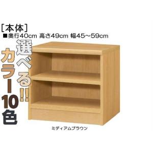 リビングボード 高さ４９ｃｍ幅４５〜５９ｃｍ奥行４０ｃｍ厚棚板（棚板厚み2.5cm）茶器ディスプレイ 幅オーダー リビングラック保管｜wing1