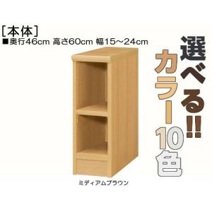 隙間収納 高さ６０ｃｍ幅１５〜２４ｃｍ奥行４６ｃｍ厚棚板（棚板厚み2.5cm）ビデオ棚 国産 応接間ボード保管｜wing1