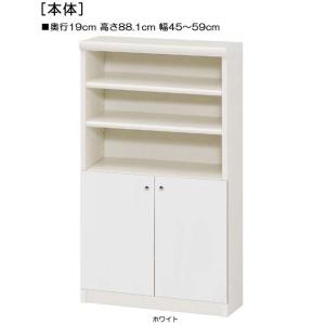 下部扉 標準棚板 ＤＶＤ収納 高さ８８．１ｃｍ幅４５〜５９ｃｍ奥行１９ｃｍ 下扉高さ41.5cm 教...