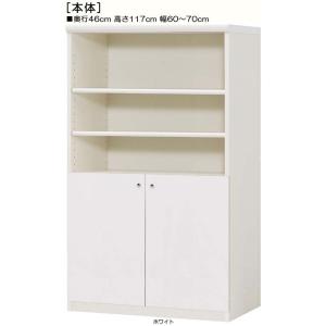 下部扉 標準棚板 オーダー書棚 高さ１１７ｃｍ幅６０〜７０ｃｍ奥行４６ｃｍ 下扉高さ52.5cm ブ...