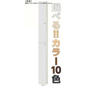 全面扉薄型家具 高さ２１１．１ｃｍ幅１５〜２４ｃｍ奥行１９ｃｍ 上下共片開き(左開き/右開き)｜wing1