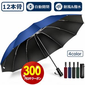 wingchokuei_b112fxs-xxx