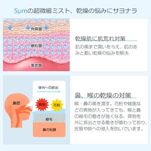 「2点購入で1点あたり1480円」加湿器 小型...の詳細画像5