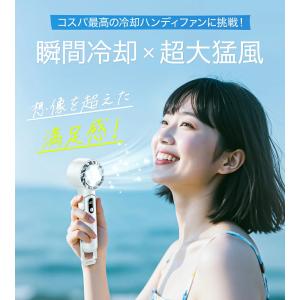 「2点購入で1点あたり1,380円」ハンディフ...の詳細画像1