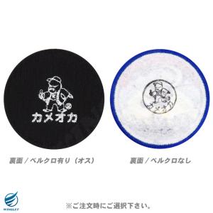 航空自衛隊 ブルーインパルス 2026 ツアー...の詳細画像5