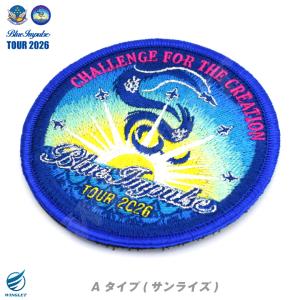 航空自衛隊 ブルーインパルス 2026 ツアー...の詳細画像2
