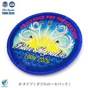 航空自衛隊 ブルーインパルス 2026 ツアー...の詳細画像4