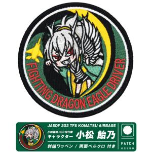 数量限定品 航空自衛隊 第203飛行隊 60周年 記念 パッチ 刺繍 両面