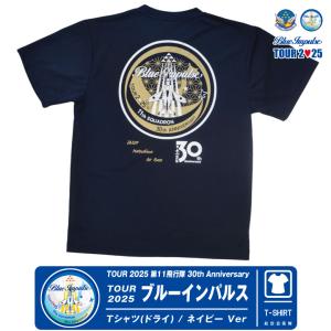 TM エンブラエル E-JET 機首 ロゴ刺繍 フライトタグ 5本セット TM様専用 エンブラエル E-JET 機首 ロゴ刺繍 フライトタグ 5本