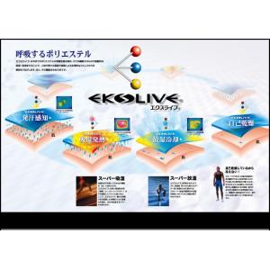 【送料無料】疲れなインソール 消臭&速...の詳細画像3