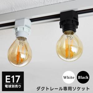 スワン SWAN ダクトレール用ソケット E26 : セレクトショップAQUA