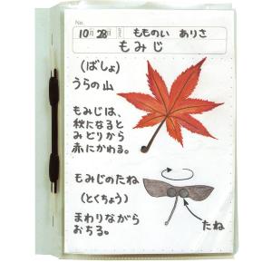 透明掲示ホルダー8切の詳細画像3