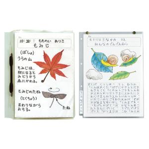 透明掲示ホルダー8切の詳細画像4