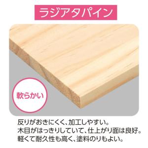 ラジアタパイン集成材 510x150x15mmの詳細画像2