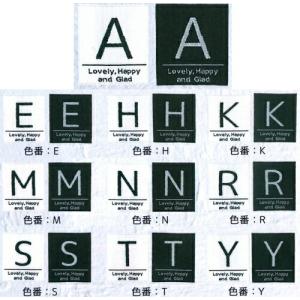 【メール便OK】全10種 イニシャル タグネー...の詳細画像3