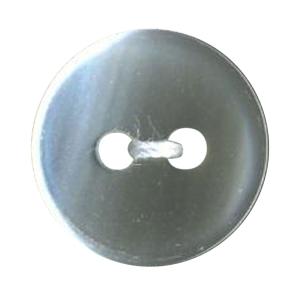 法螺貝　インテリア　2点セット 法螺貝（ほら貝）販売のお店