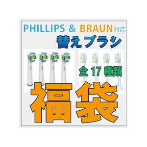 17種類　自由選択 ブラウン or フィリップス 互換 2パック（合計8本）E｜wingsolar