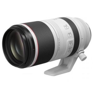 CANON　RF100-500mm F4.5-7.1 L IS USM