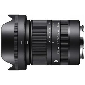 シグマ（SIGMA） SIGMA 28-70mm F2.8 DG DN [ソニーE用] : ウインク