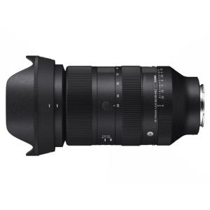 シグマ SIGMA シグマ 105mm F2.8 DG DN MACRO Art ソニー E Art