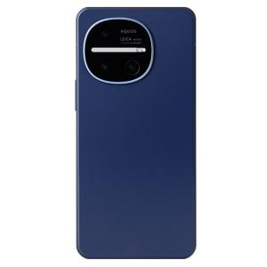 SHARP AQUOS R10 SH-M31 6.5インチ メモリー12GB ストレージ512GB