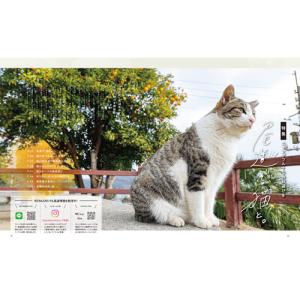 ウインク2026年3月号『尾道で、猫と。』 -...の詳細画像2