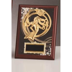 [P607D/N-3]楯／高さ21cm