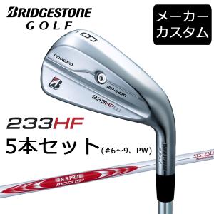 Mizuno Pro ミズノ ミズノプロ 245 アイアン 6本組(No.5〜PW) (Dynamic
