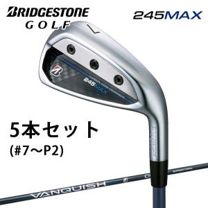 Mizuno Pro ミズノ ミズノプロ 245 アイアン 6本組(No.5〜PW) (N.S.PRO