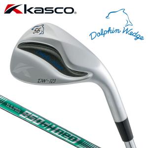 kasco（キャスコ） 「ヘッド単体」 DOLPHIN WEDGE DW-123 （ストレート