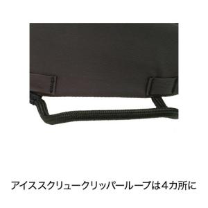 blue ice ブルーアイス クエスタ アジ...の詳細画像1