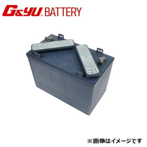 G&amp;Yu  EB・GC サイクル シリーズ ゴルフカート、産業機械  L-1275 12V ※北海道...