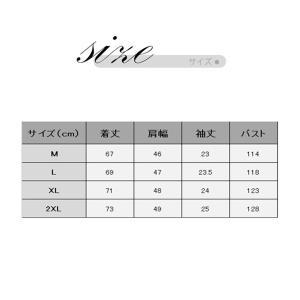 ポロシャツ メンズ 半袖 スポーツ ストライプ...の詳細画像2