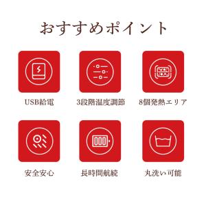 電気毛布 着る毛布 ひざ掛け USB給電式 8...の詳細画像1