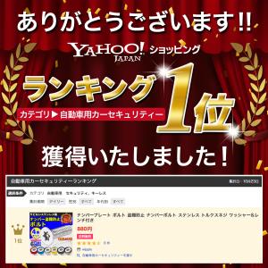 ナンバープレート ボルト 盗難防止 ネジ ナン...の詳細画像1