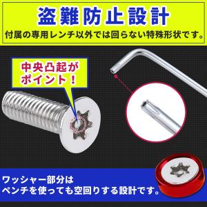 ナンバープレート ボルト 盗難防止 ネジ ナン...の詳細画像3