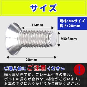 ナンバープレート ボルト 盗難防止 ネジ ナン...の詳細画像5
