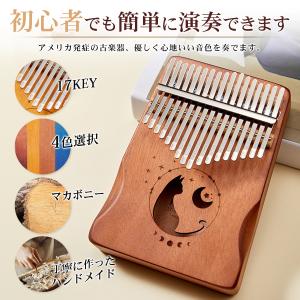 カリンバ 楽器 親指ピアノ 民族楽器 karinba ハードケース付 17