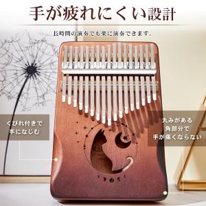 カリンバ 楽器 親指ピアノ 民族楽器 karinba ハードケース付 17