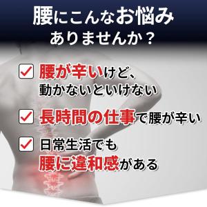 腰痛ベルト 夏用 腰サポーター 薄型 メッシュ...の詳細画像1