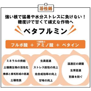 活性剤 ベタフルミン 10L ナガオカ化成 植...の詳細画像1